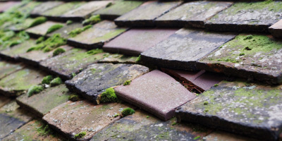 Abbotsley roof repair costs